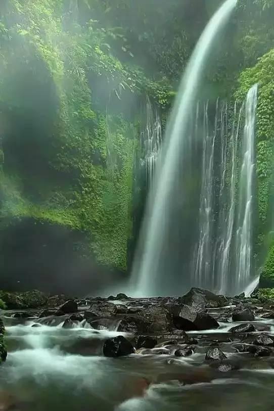 未知的原因