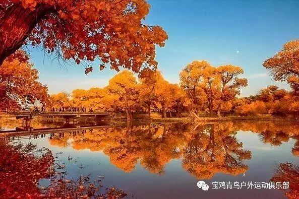 熊出没水果大陆2